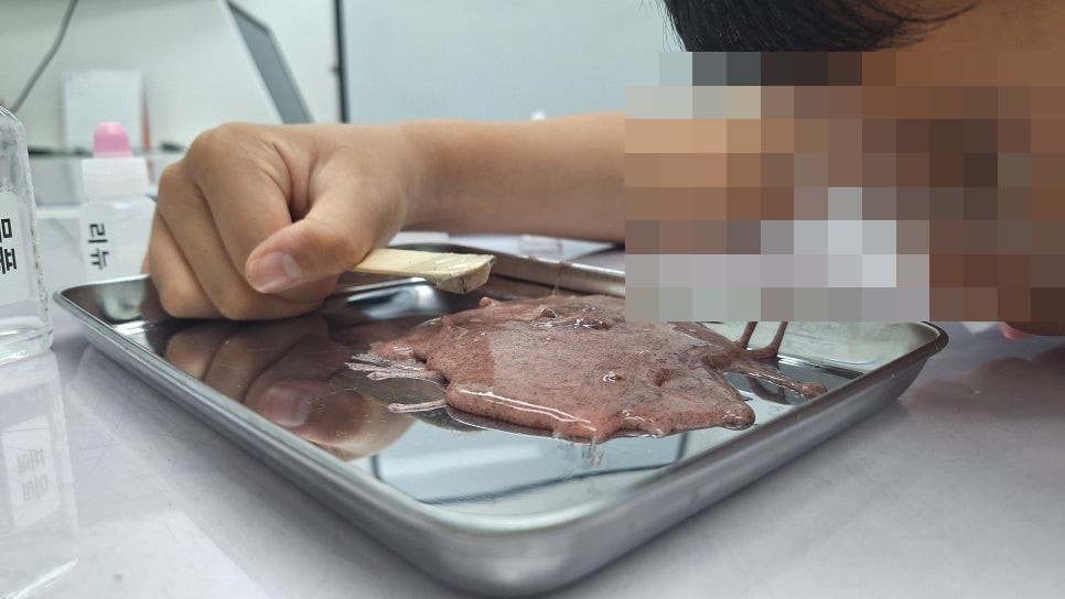 [올타 실험과학 마곡센터] 퀀텀1 5월-1주차 자성플러버 사진 6
