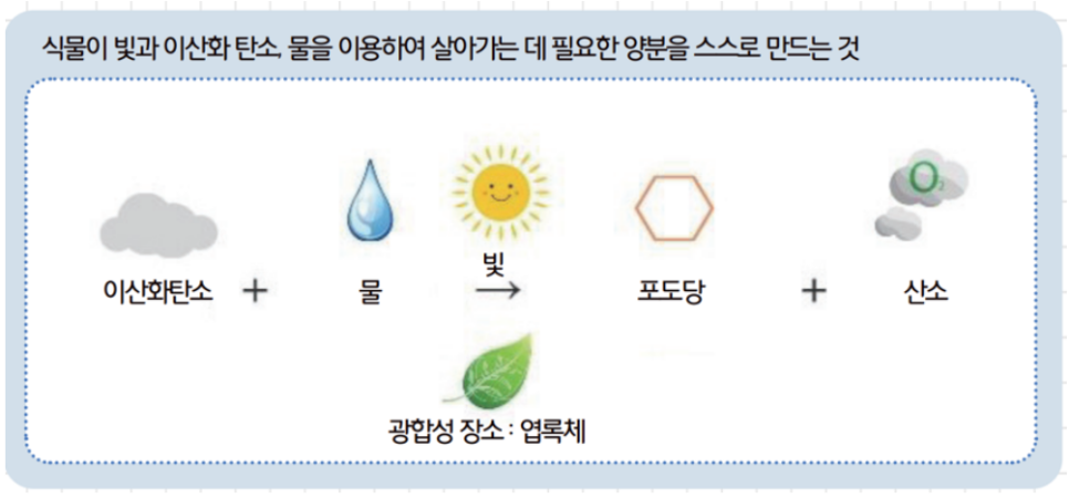 [올타 실험과학 마곡센터] 퀀텀1 9월-2주차 광합성 장소와 산물