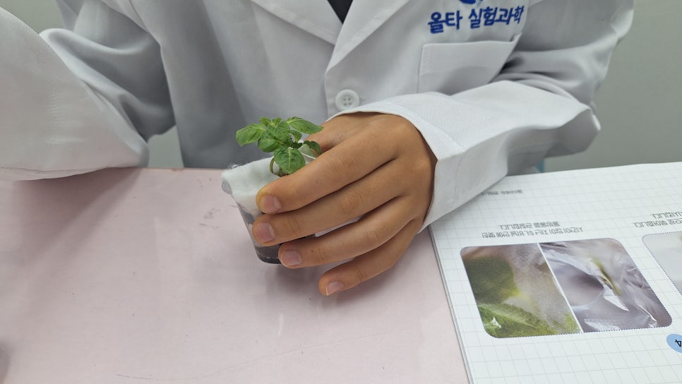 [올타 실험과학 마곡센터] 퀀텀1 9월-2주차 광합성 장소와 산물 사진 6