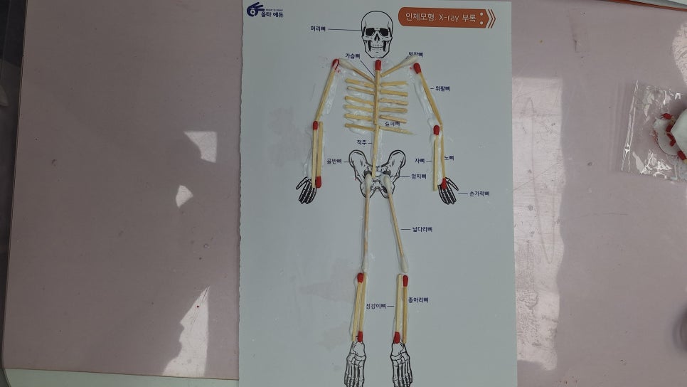 [올타 실험과학 마곡센터] 빅뱅E 9월-3주차 인체 모형, X-ray 사진 6