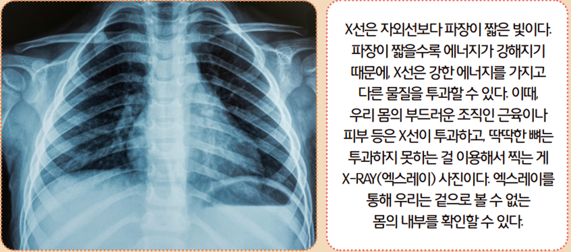 [올타 실험과학 마곡센터] 빅뱅E 9월-3주차 인체 모형, X-ray 사진 4