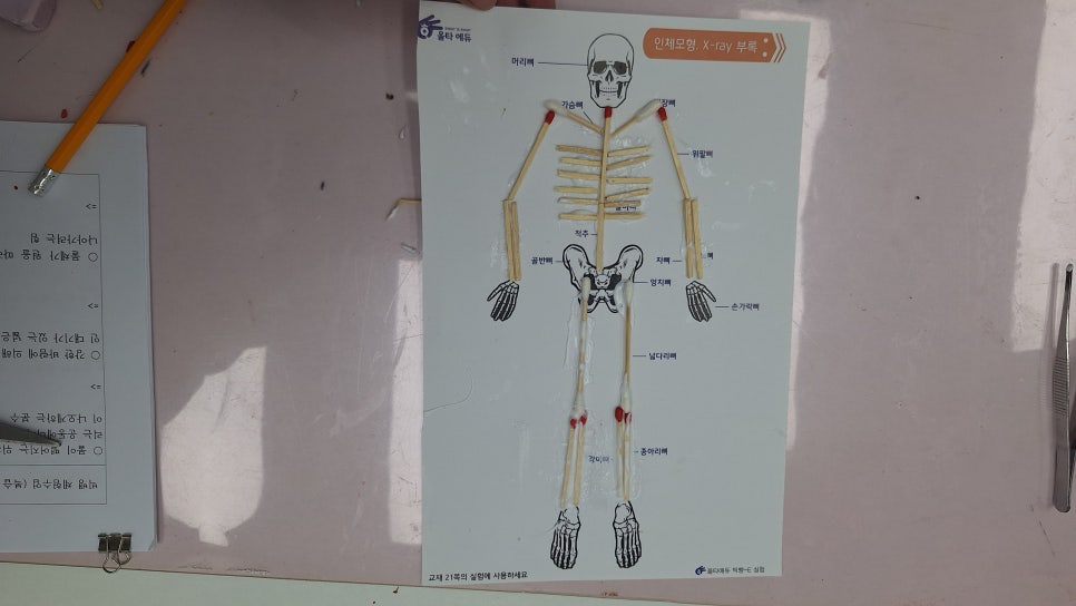 [올타 실험과학 마곡센터] 빅뱅E 9월-3주차 인체 모형, X-ray 사진 6
