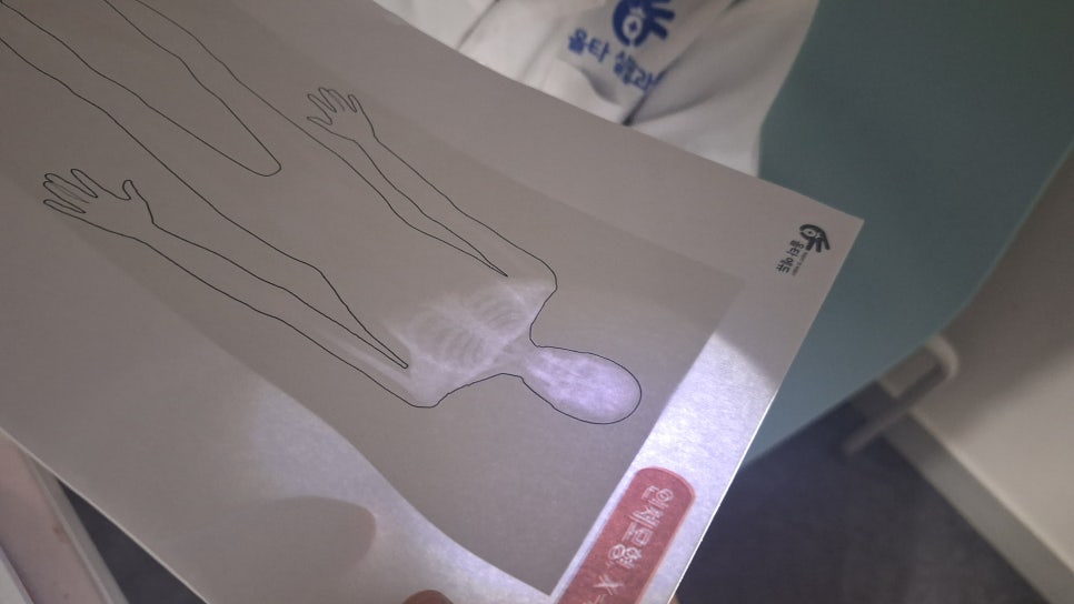[올타 실험과학 마곡센터] 빅뱅E 9월-3주차 인체 모형, X-ray 사진 8