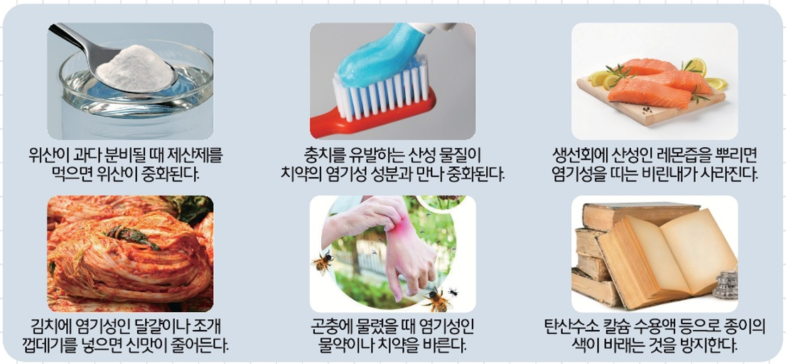 [올타 실험과학 마곡센터] 퀀텀1 9월-3주차 양배추지시약, 중화반응 사진 4