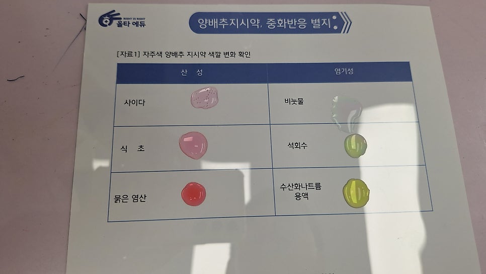 [올타 실험과학 마곡센터] 퀀텀1 9월-3주차 양배추지시약, 중화반응 사진 6
