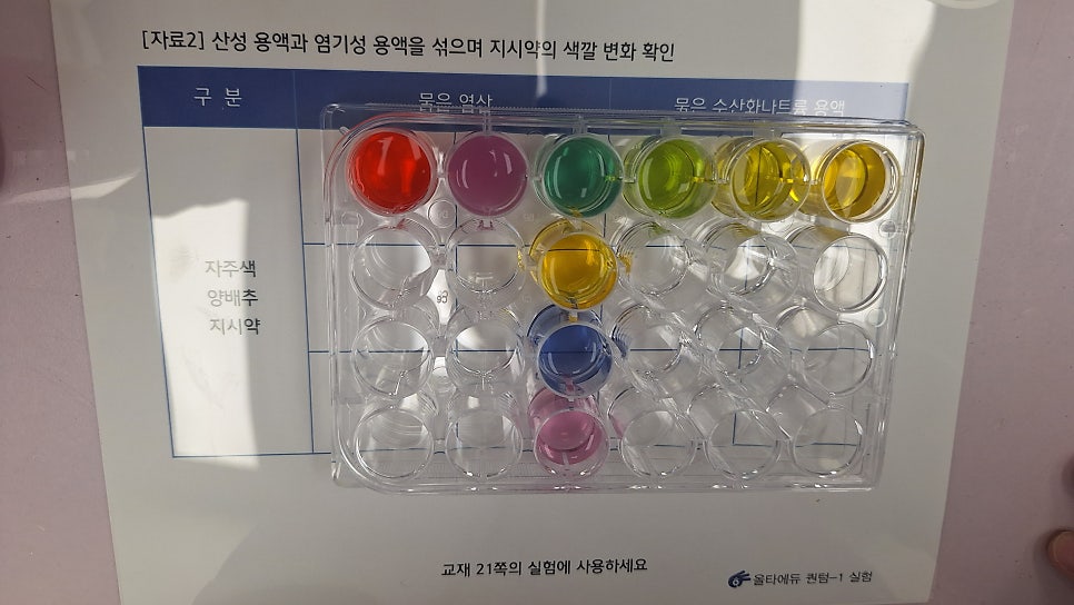 [올타 실험과학 마곡센터] 퀀텀1 9월-3주차 양배추지시약, 중화반응 사진 8