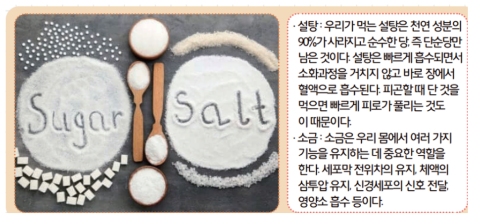 [올타 실험과학 마곡센터] 빅뱅E 9월-4주차 가루물질
