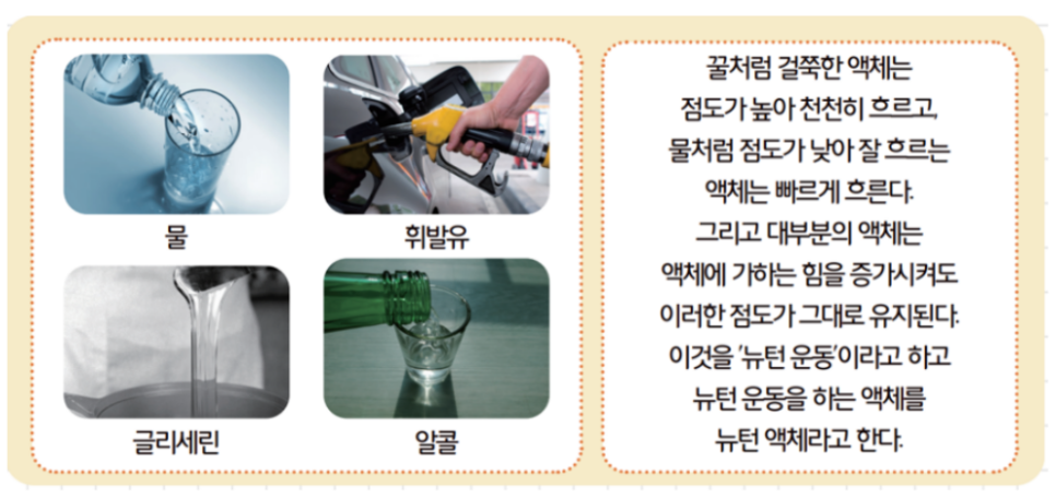 [올타 실험과학 마곡센터] 아톰1 9월-4주차 점탄성