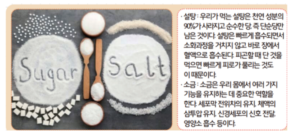 [올타 실험과학 마곡센터] 빅뱅E 9월-4주차 가루물질