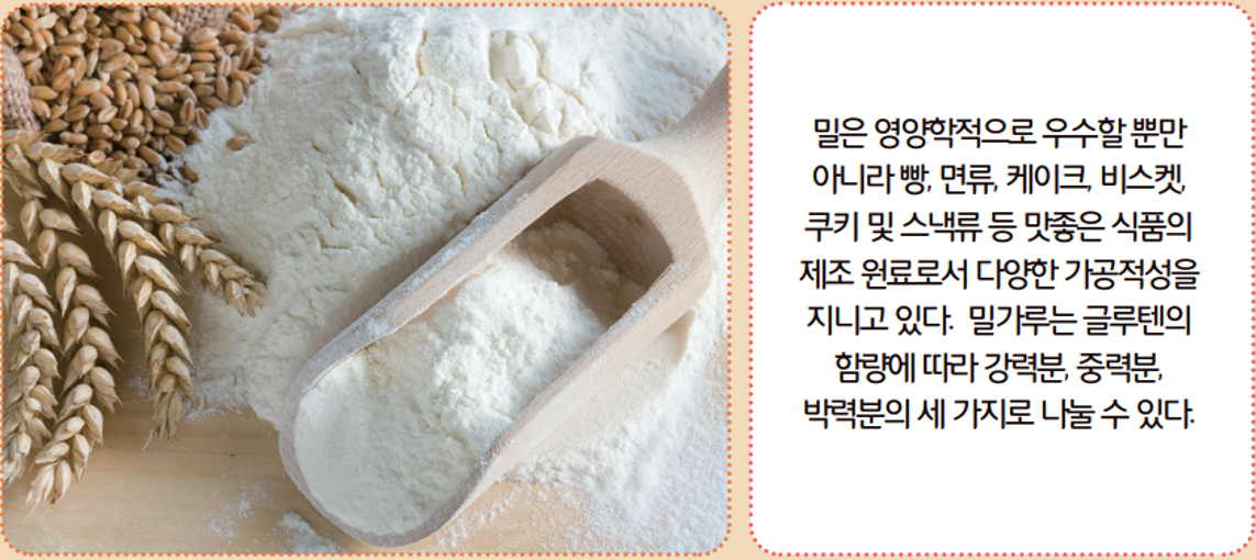 [올타 실험과학 마곡센터] 빅뱅E 9월-4주차 가루물질 사진 4