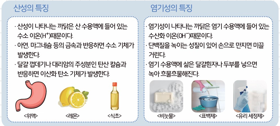 [올타 실험과학 마곡센터] 퀀텀1 9월-4주차 리트머스, 페놀프탈레인 사진 4