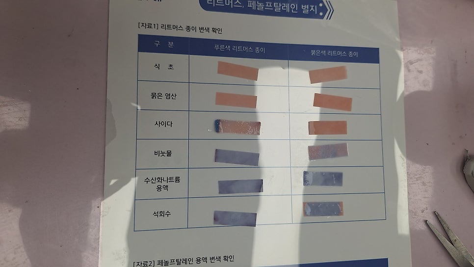 [올타 실험과학 마곡센터] 퀀텀1 9월-4주차 리트머스, 페놀프탈레인 사진 6