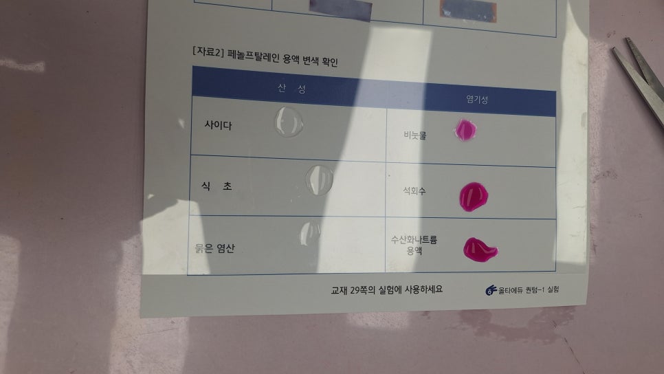[올타 실험과학 마곡센터] 퀀텀1 9월-4주차 리트머스, 페놀프탈레인 사진 8