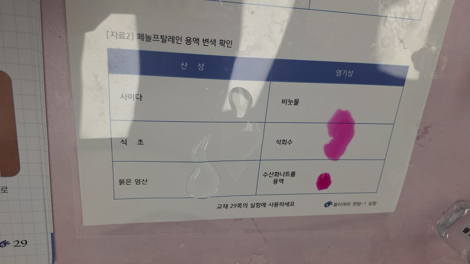 [올타 실험과학 마곡센터] 퀀텀1 9월-4주차 리트머스, 페놀프탈레인 사진 8