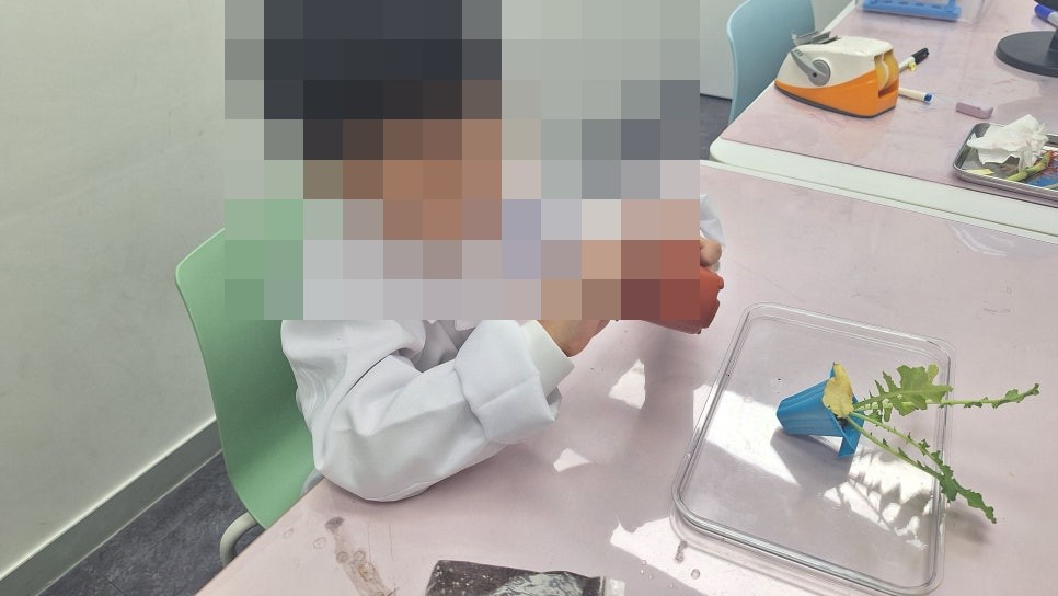 올타 실험과학 수업 사진